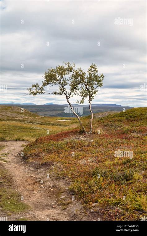 Hiking trail to the Alta Gorge, Finnmark plateau, near Alta, Arctic ...