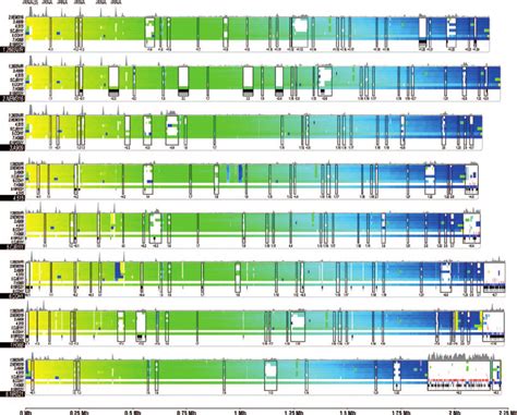 Whole genome alignment of GBS strains. The eight genomes are compared... | Download Scientific ...