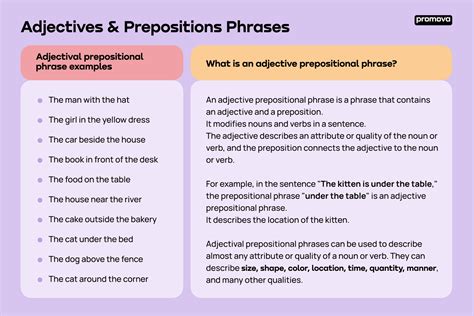 Adjectives and Prepositions | Promova Grammar