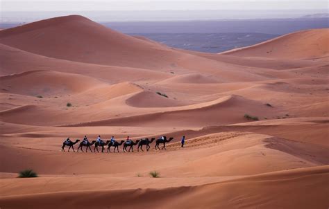 What is the Tallest Sand Dune in the World? | The Top 10