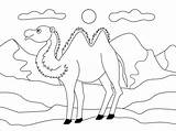Camel coloring Page  Free Printable Coloring Pages sketch template