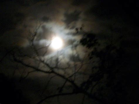 Full Moon - Moon Photo (15788198) - Fanpop