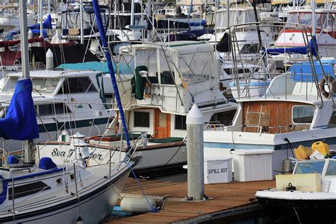 San Diego Harbor Yacht Club Photograph by Paul Ranky - Fine Art America