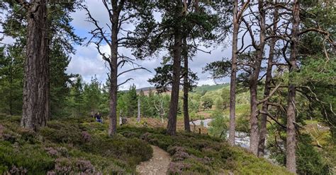 Linn of Dee Circular Walk | River, Waterfalls, Glen Luibeg | 10Adventures