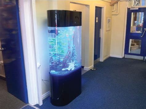 Oval Tower Designer Aquarium - Click for Details | Bespoke Designer Aquariums & Custom Fish Tank ...