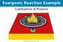 Exergonic Reaction: Definition, Equation, Graph, and Examples