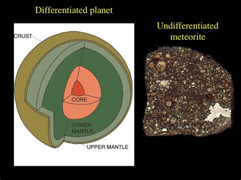 Chondrites