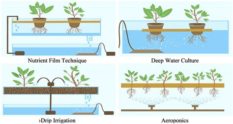 Understanding Hydroponics - Electronics For You - handla.it