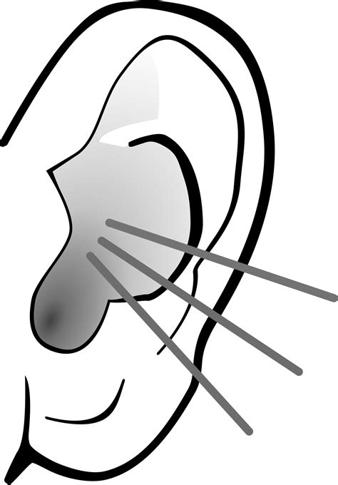 Free PNG Listening Ear Transparent Listening Ear.PNG Images. | PlusPNG