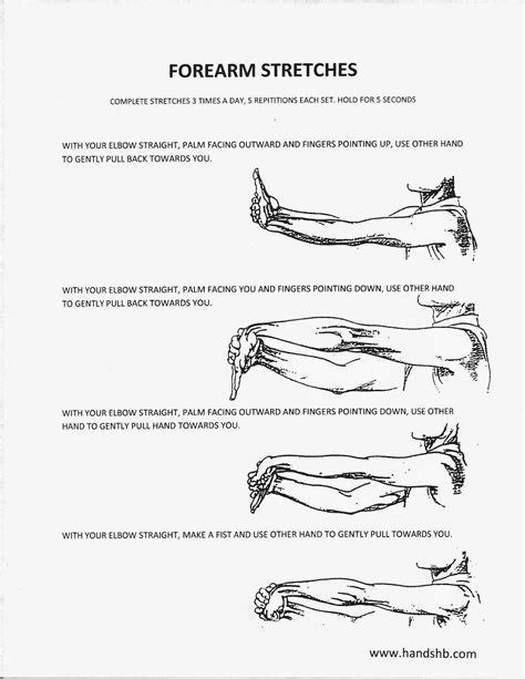 Forearm Stretches | Forearm stretches, Tennis elbow, Hand therapy