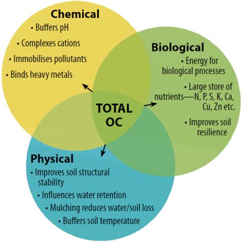 How Much Carbon Can Soil Store | Fact Sheets | soilquality.org.au