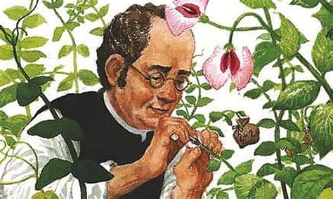 Genetics has come a long way since Gregor Mendel mapped inheritance using peas: Deconstructing ...