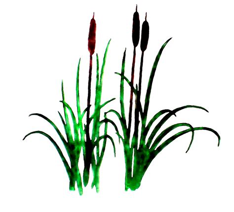 Cattail Cliparts - Free Download