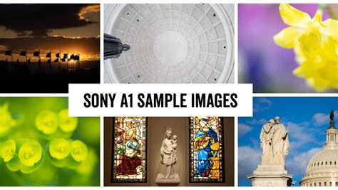 Sony a1 (Sony Alpha a1) Sample Images (Test & Review)