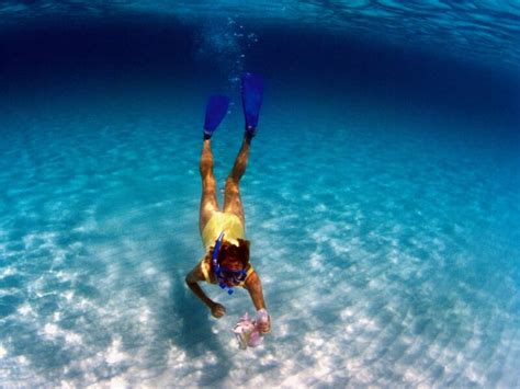 Cayman Islands Snorkeling: Discover The Best Spots in this Complete Guide