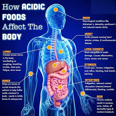 Acidic Foods - The Seven Most Acidic Food to Cut Immediately