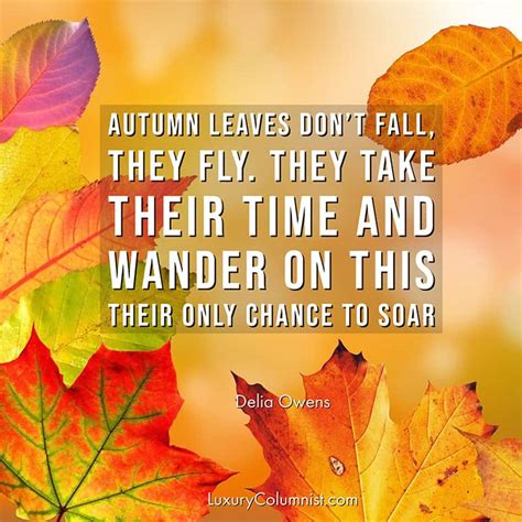 85+ Inspirational Fall Quotes | Short, Happy And Funny Autumn Sayings