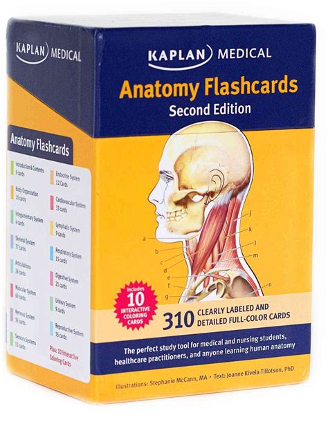 Anatomy Flashcards (Cards) | Overstock.com Shopping - The Best Deals on ...