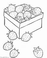 Printable Strawberry Coloring Pages For Hours Of Fun sketch template