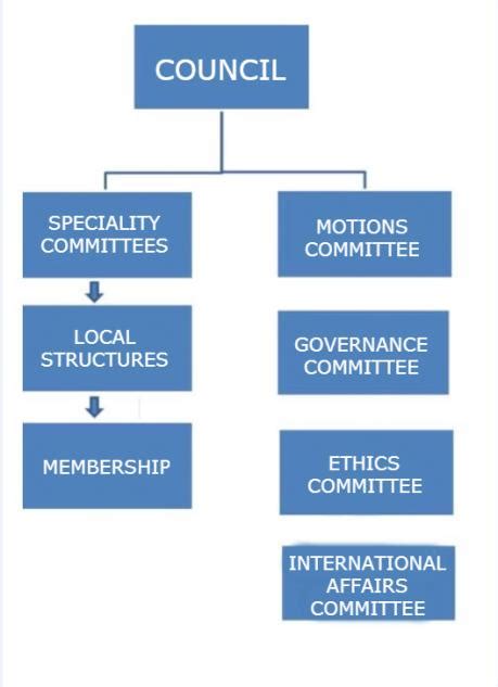 Imo Structure