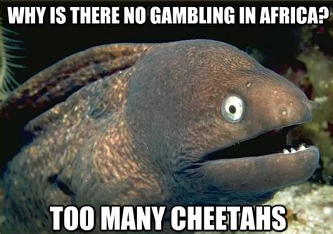 Ten Funniest Gambling Memes Of All Time