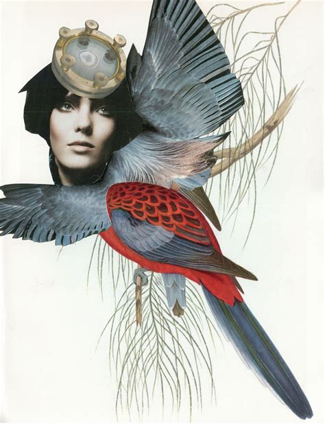 Exotic Bird Collage Art by Sabine Remy