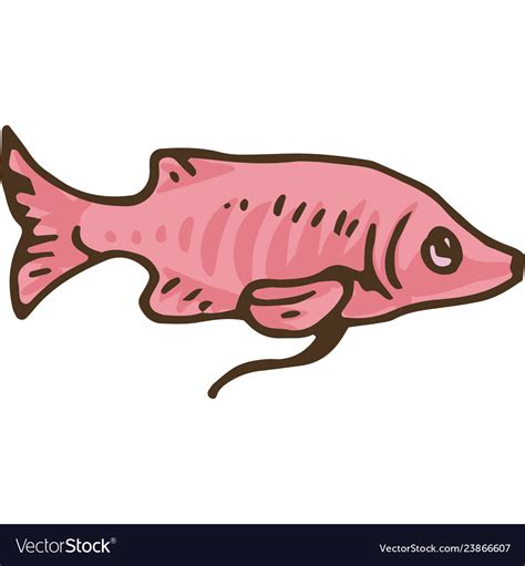 Pink exotic fish Royalty Free Vector Image - VectorStock