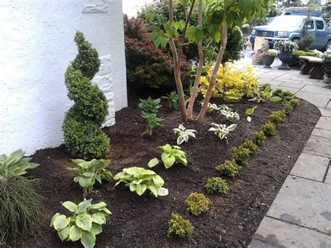 Types Of Dwarf Pine Trees For Landscaping — Randolph Indoor and Outdoor ...