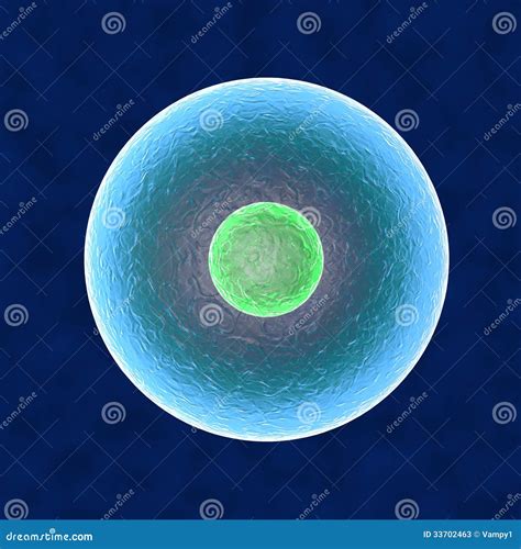 Core cell stock illustration. Illustration of body, laboratory - 33702463