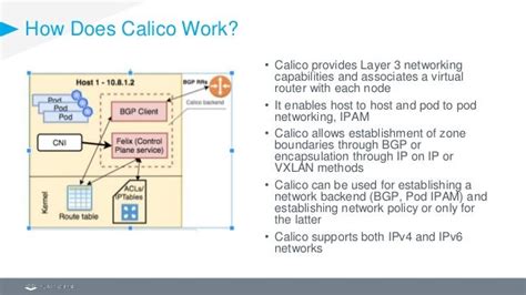 Kubernetes Networking: Achieving High Performance with Calico