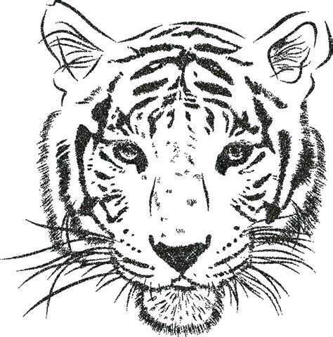 Tiger Face Coloring Pages at GetColorings.com | Free printable ...