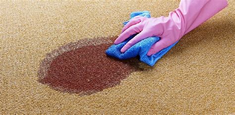 Top 10 DIY Carpet Cleaning Tips | Pro Carpet Cleaning Sydney