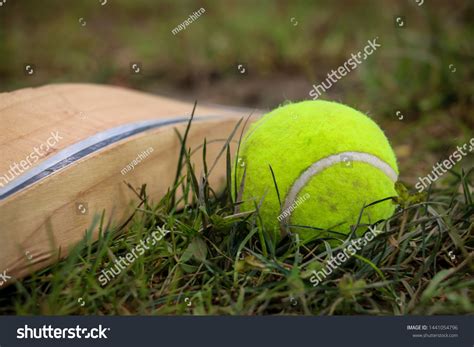 Tennis Ball Cricket Close Tennis Ball Stock Photo 1441054796 | Shutterstock