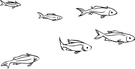 School of fish Icons PNG - Free PNG and Icons Downloads