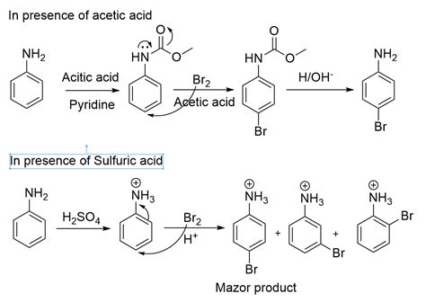 [Solved] 4. The reactivities of phenol and aniline toward bromination change... | Course Hero