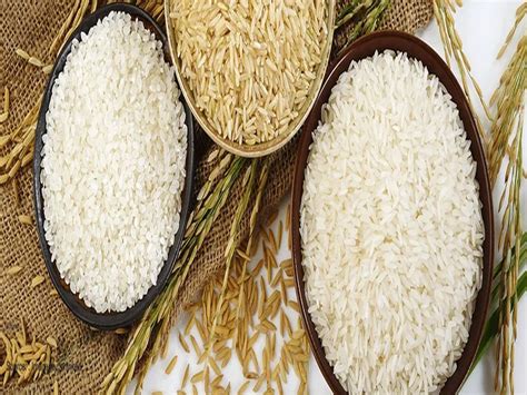 health benefits joha rice is effective preventing the onset diabetes know its properties and ...