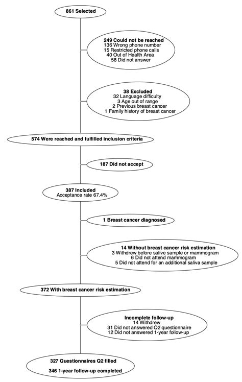 Normal Mammogram Results Letter Format - Infoupdate.org