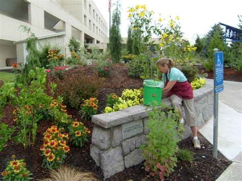 Meridian Park Medical Foundation Approves Over $200,000 in Grants ...