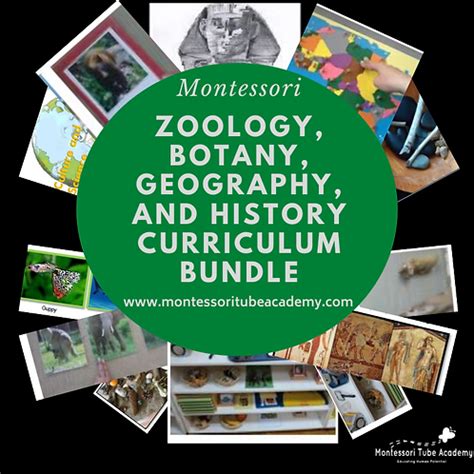 Zoology, Botany, Geography, and History curriculum bundle | Montessori Academy