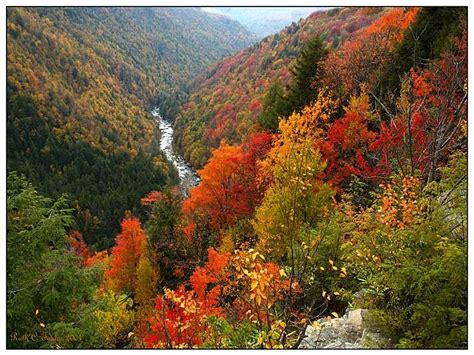 Blackwater Falls State Park, a West Virginia State Park located near Elkins