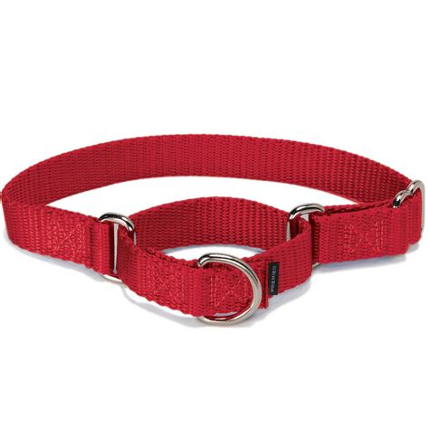 Martingale Collars | Martingale Dog Collar | Martingale Harness