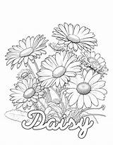 Coloring Pages For Adults Find Your Inner Peace With Floral Designs sketch template