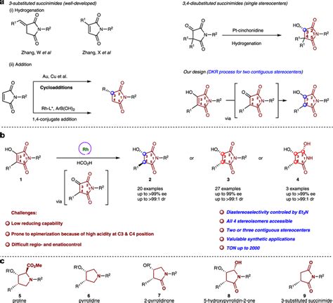 Synthetic methods for the construction of chiral succinimide... | Download Scientific Diagram