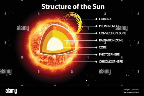 The Structure of the Sun illustration Stock Vector Image & Art - Alamy