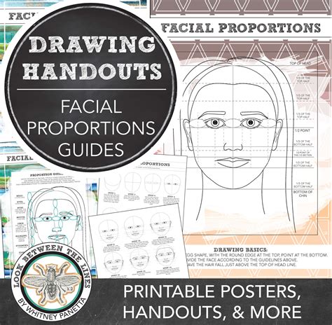 Facial Proportions Printable Posters and Handouts - Look between ...