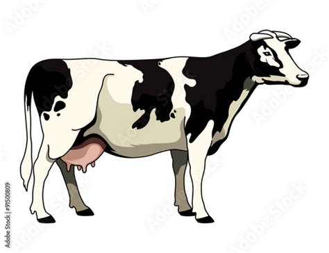 "Holstein Cow" Stock image and royalty-free vector files on Fotolia.com ...