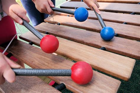 Xylophone Players Free Stock Photo - Public Domain Pictures