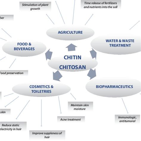 8 Industrial uses of chitin/chitosan | Download Scientific Diagram