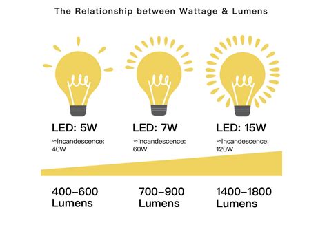 Choose the Right Light Bulbs for Your Home - Lewoer Lighting