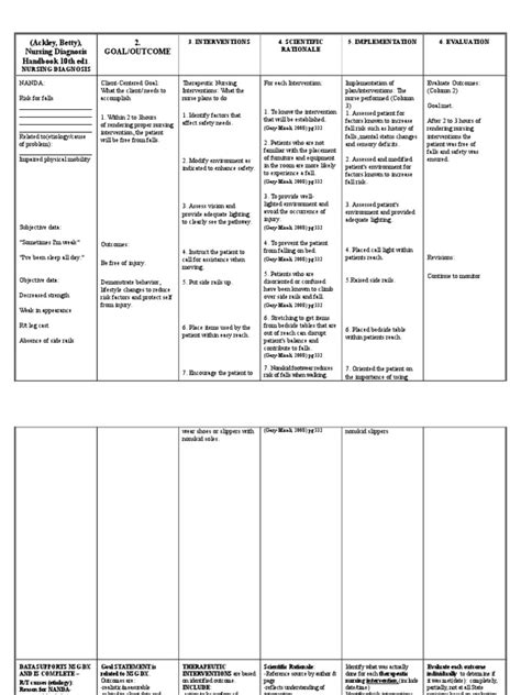 Client Care Plan (Risk for Falls) | Nursing | Risk